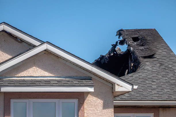Top rated local Fire Damage Removal specialists in Princeton, NJ